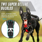 Ensemble collier harnais et laisse en cuir pour chien