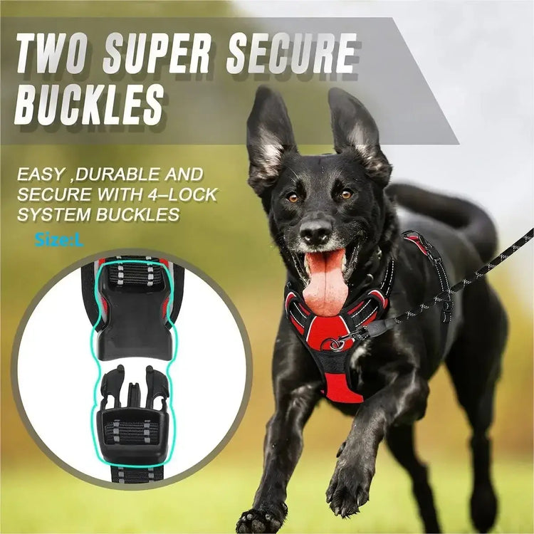 Ensemble collier harnais et laisse en cuir pour chien