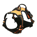 Ensemble collier harnais et laisse en cuir pour chien - Yellow / S / China Mainland