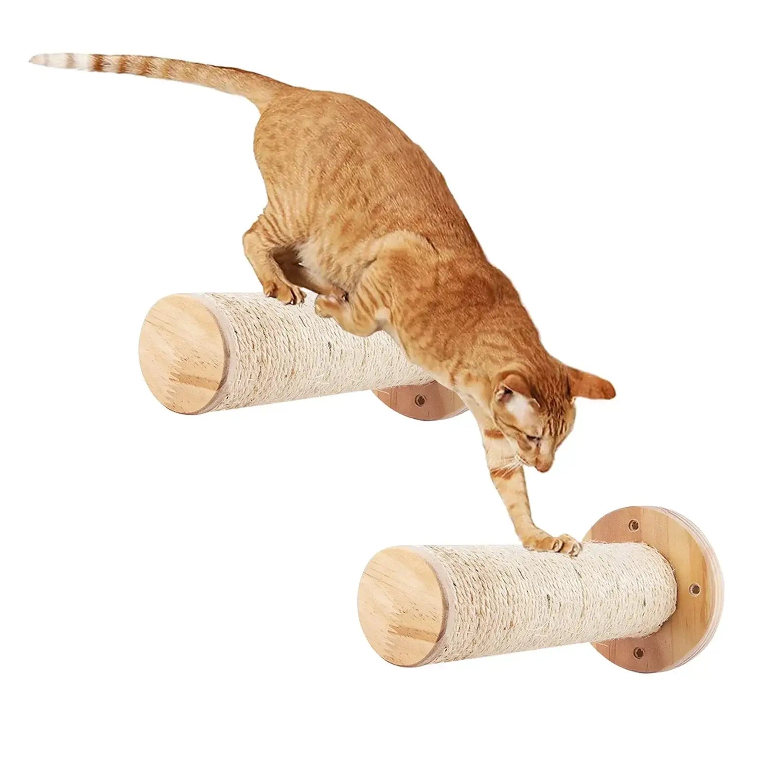 Ensemble d’escalade murale pour chat - 2 scratching posts