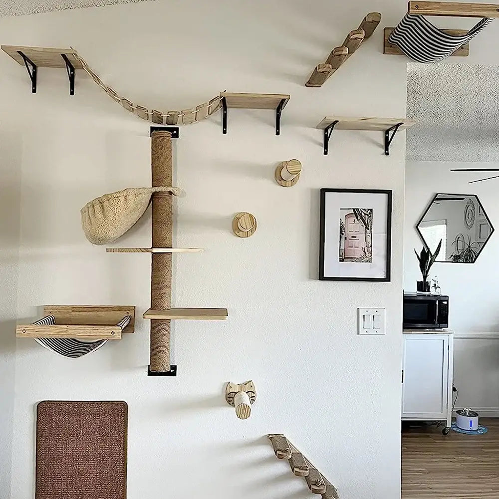 Ensemble d’escalade murale pour chat