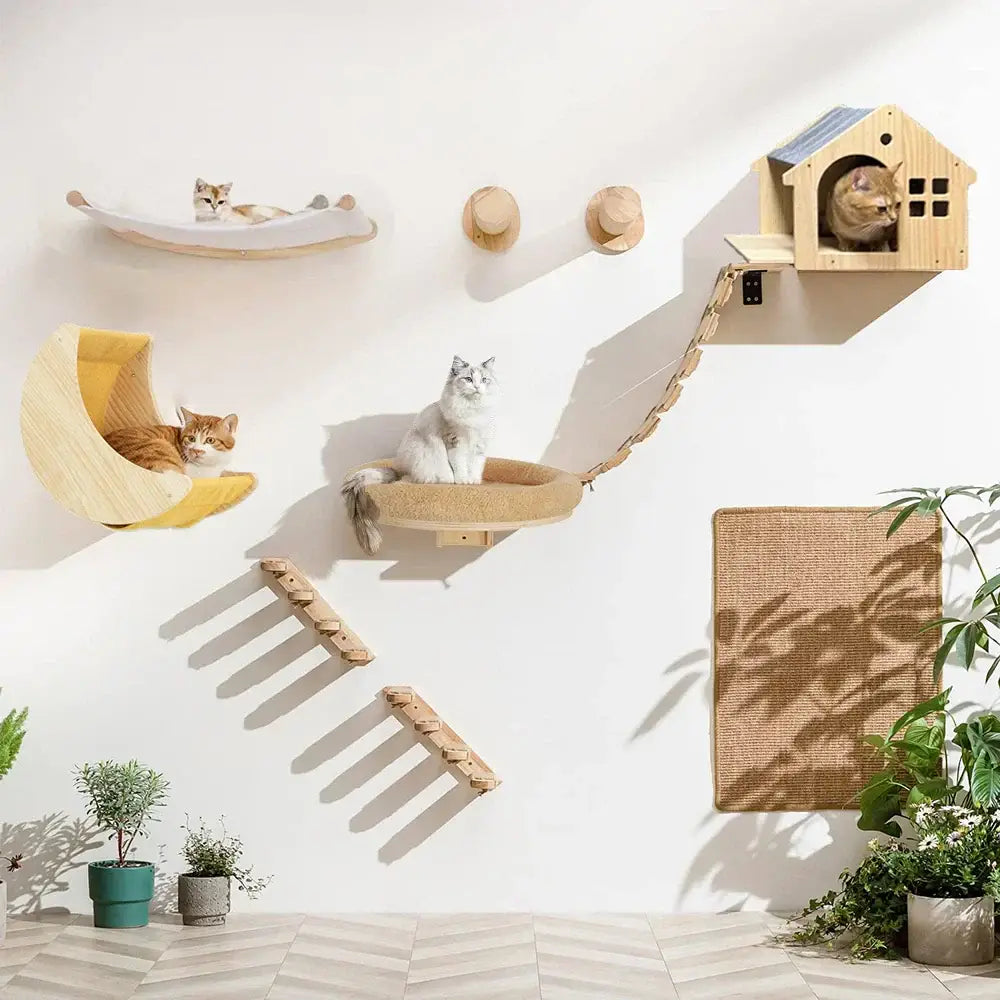 Ensemble d’escalade murale pour chat