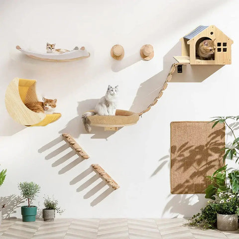 Ensemble d’escalade murale pour chat