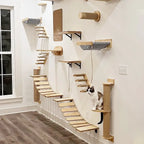 Ensemble d’escalade murale pour chat