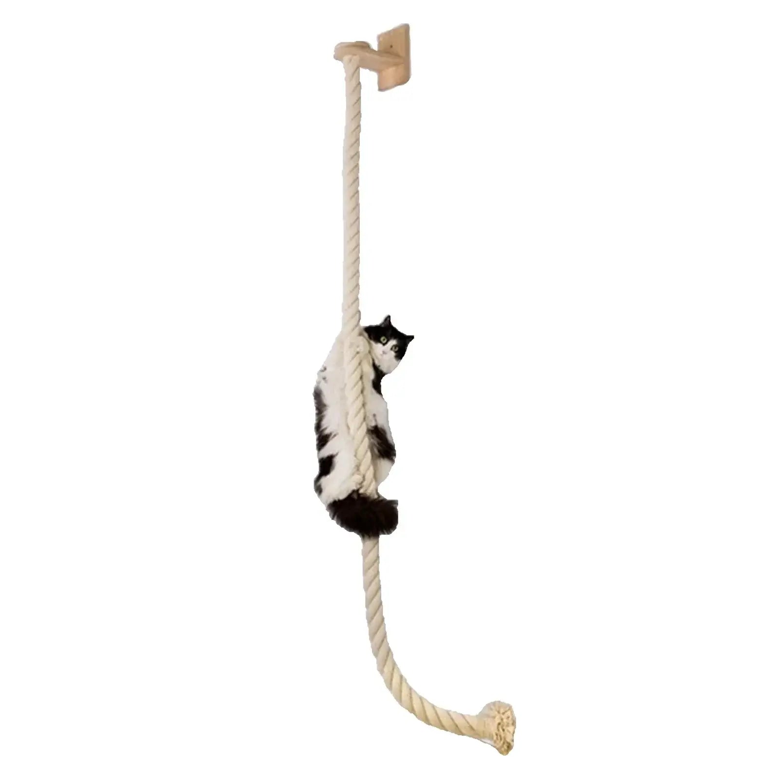 Ensemble d’escalade murale pour chat - climbing rope