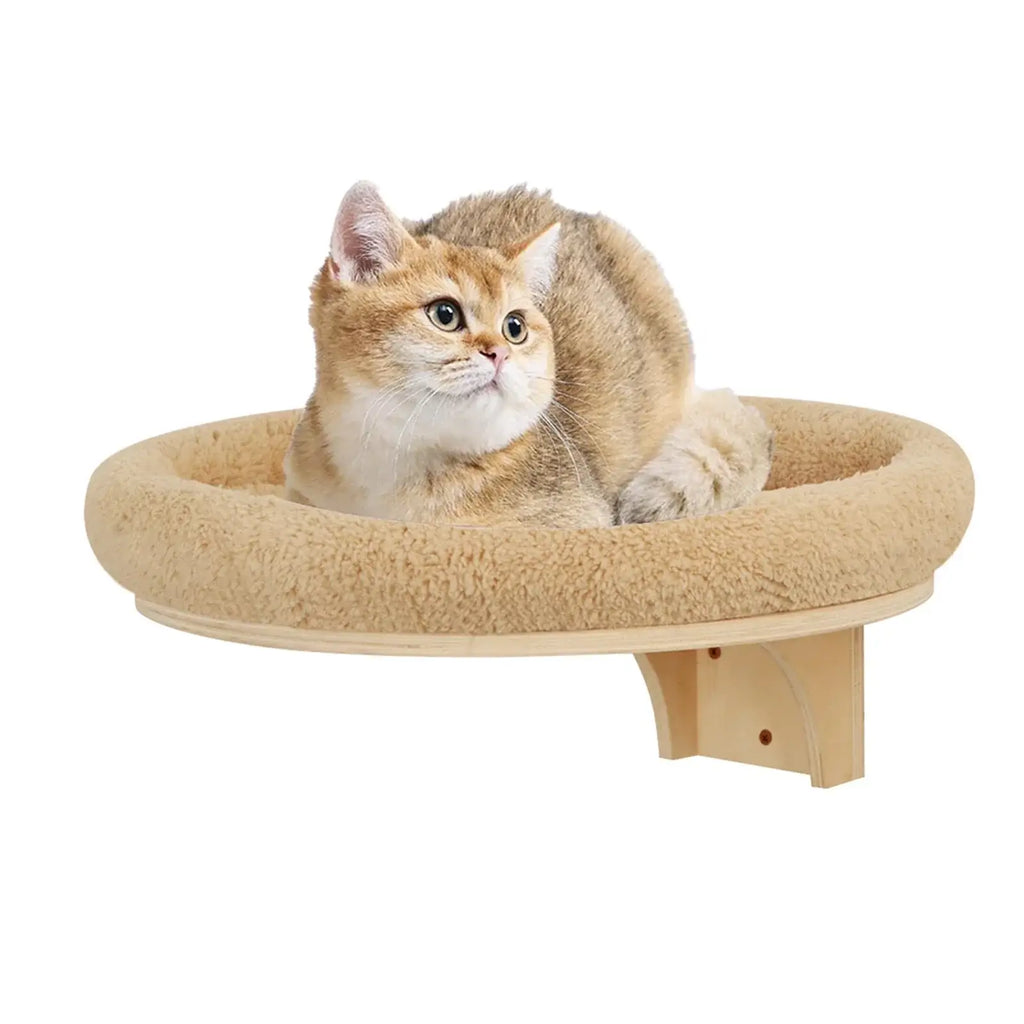 Ensemble d’escalade murale pour chat - hammock 2