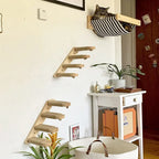 Ensemble d’escalade murale pour chat