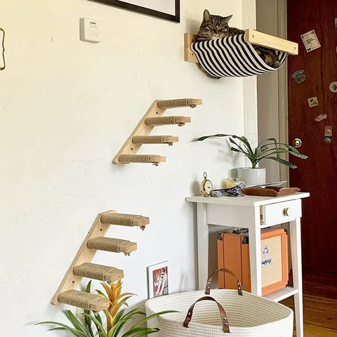 Ensemble d’escalade murale pour chat