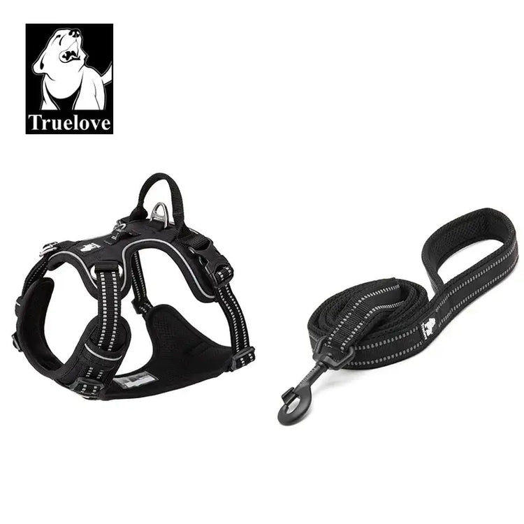 Ensemble harnais et laisse pour animaux de compagnie - Black / XL-LeashLength110CM / China Mainland