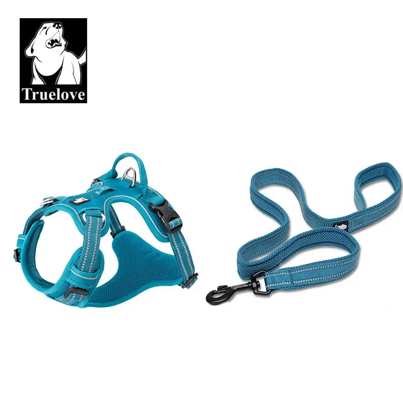 Ensemble harnais et laisse pour animaux de compagnie - Blue / XL-LeashLength110CM / China Mainland