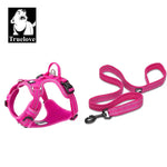 Ensemble harnais et laisse pour animaux de compagnie - Fuchsia / XL-LeashLength110CM / China Mainland