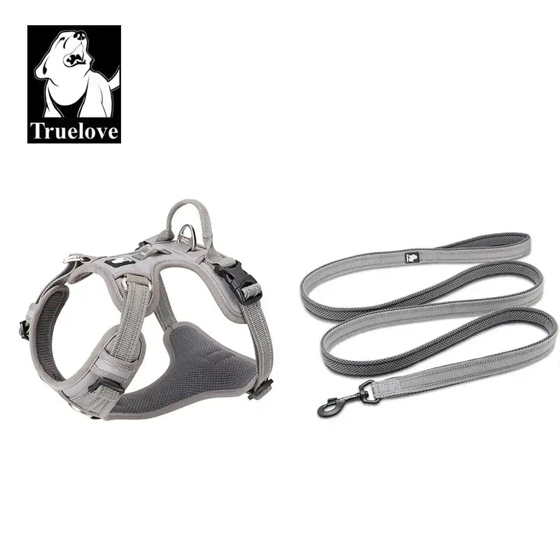 Ensemble harnais et laisse pour animaux de compagnie - Grey / XL-LeashLength110CM / China Mainland