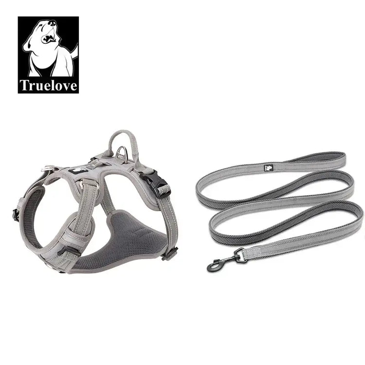 Ensemble harnais et laisse pour animaux de compagnie - Grey / XL-LeashLength110CM / China Mainland