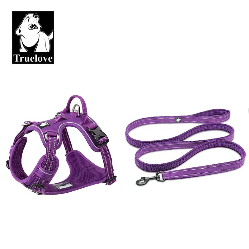 Ensemble harnais et laisse pour animaux de compagnie - Purple / XL-LeashLength110CM / China Mainland