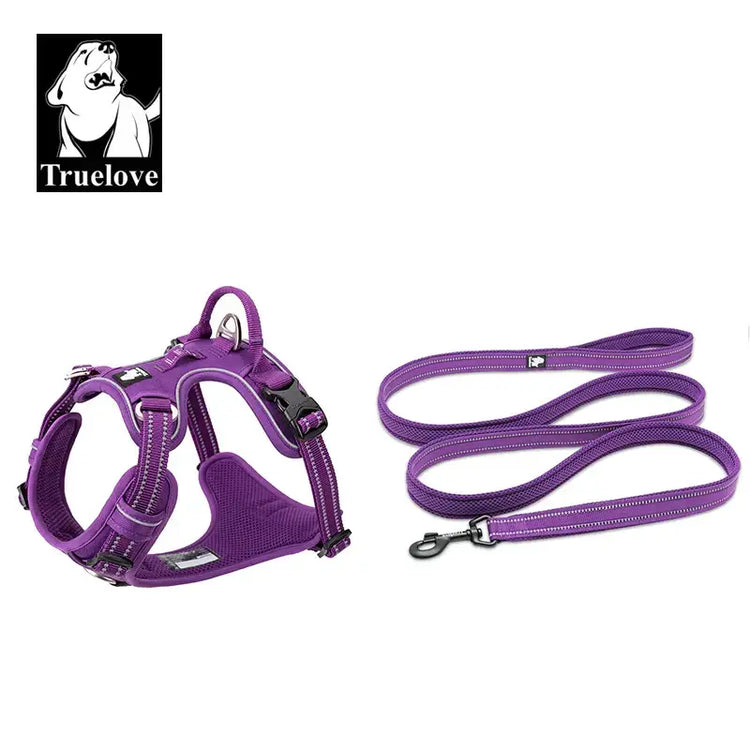 Ensemble harnais et laisse pour animaux de compagnie - Purple / XL-LeashLength110CM / China Mainland