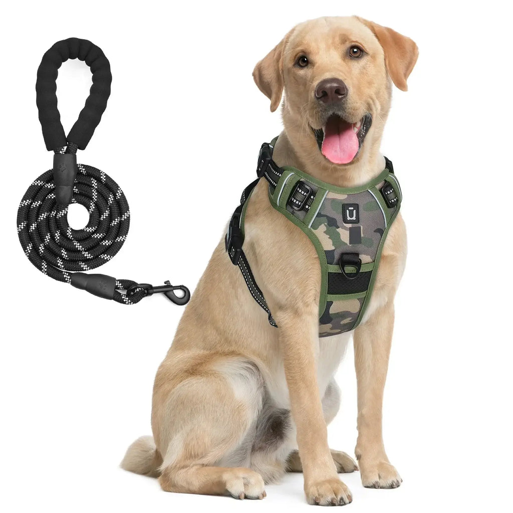 Ensemble harnais et laisse pour chien - army green / M