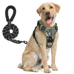 Ensemble harnais et laisse pour chien - army green / M
