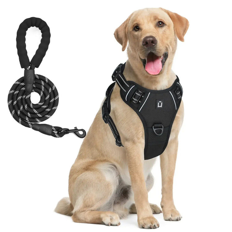 Ensemble harnais et laisse pour chien - black / M