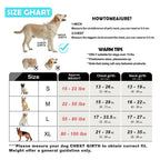 Ensemble harnais et laisse pour chien