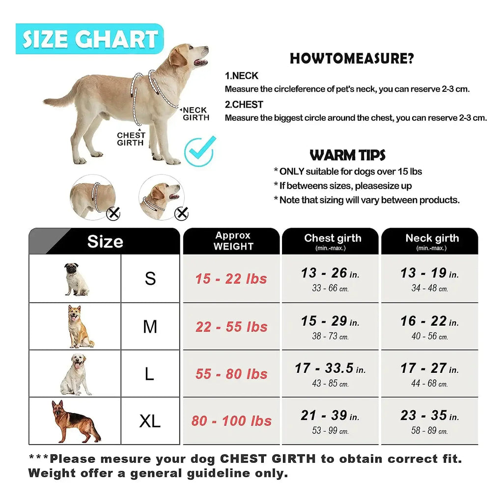 Ensemble harnais et laisse pour chien