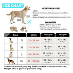 Ensemble harnais et laisse pour chien