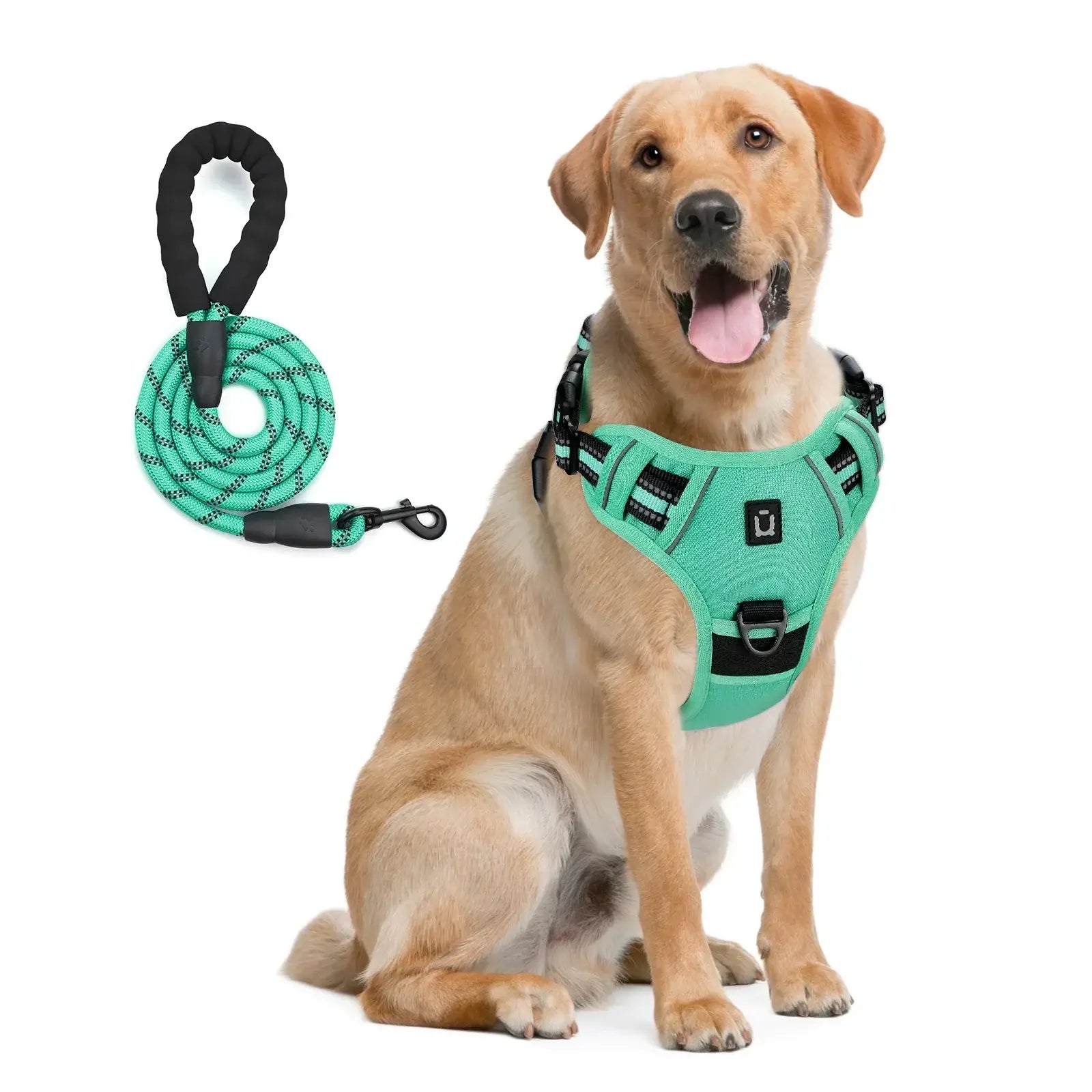 Ensemble harnais et laisse pour chien - green / M