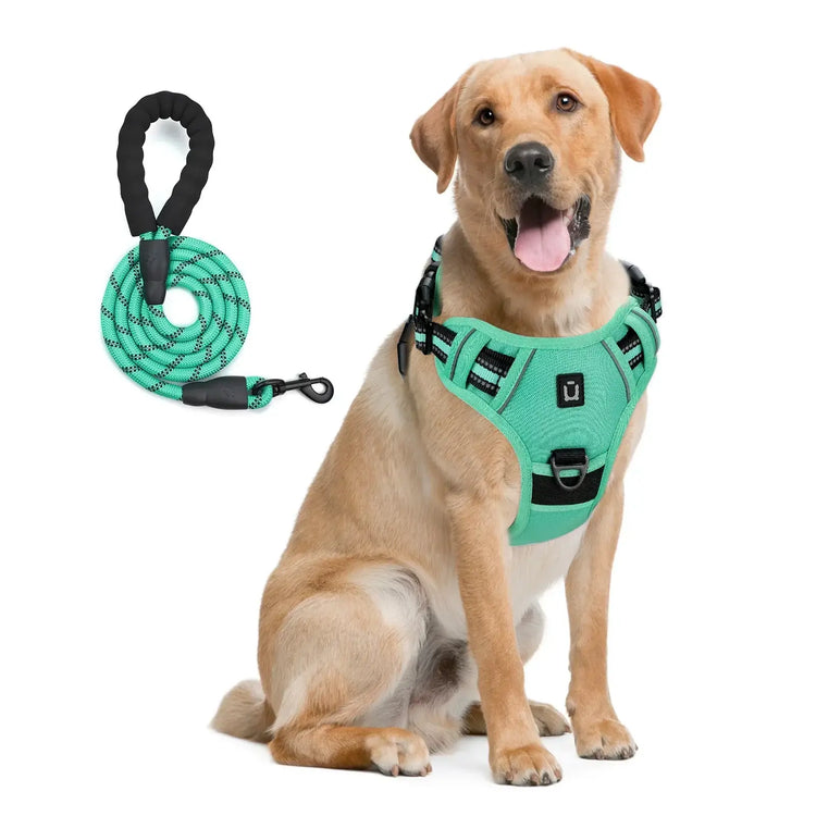Ensemble harnais et laisse pour chien - green / M