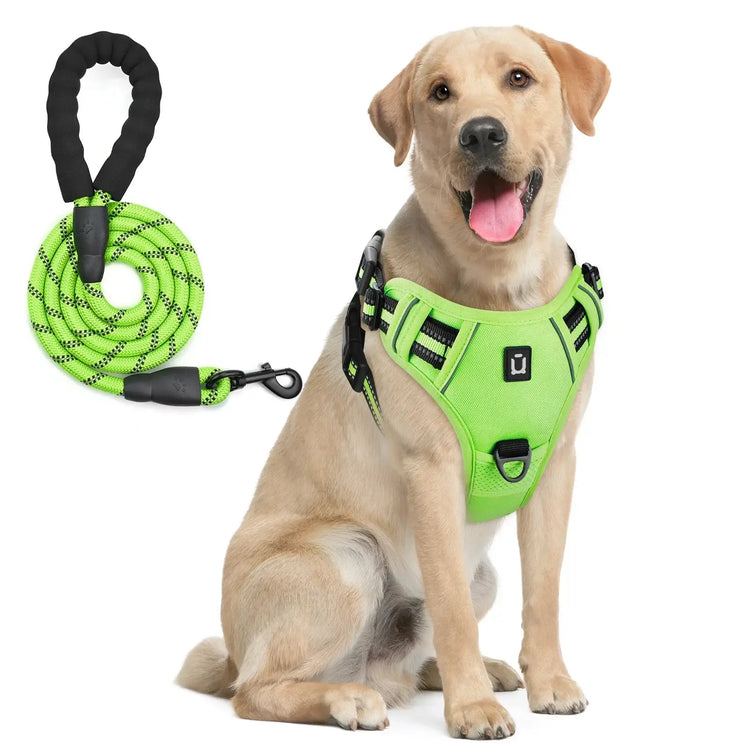Ensemble harnais et laisse pour chien - light green / M