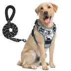Ensemble harnais et laisse pour chien - Light Grey / XL