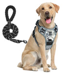 Ensemble harnais et laisse pour chien - Light Grey / XL