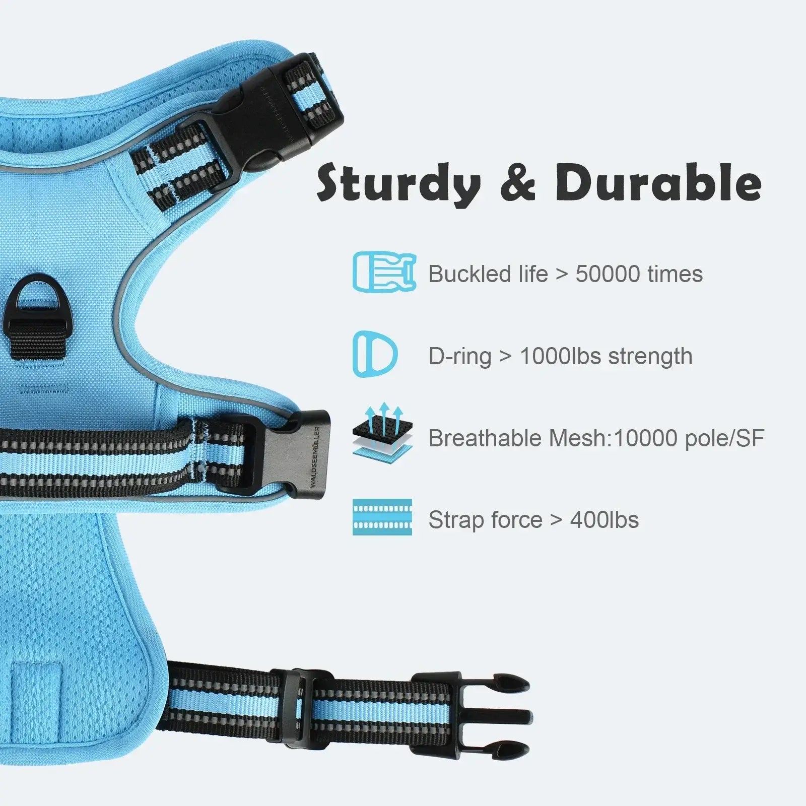 Ensemble harnais et laisse pour chien