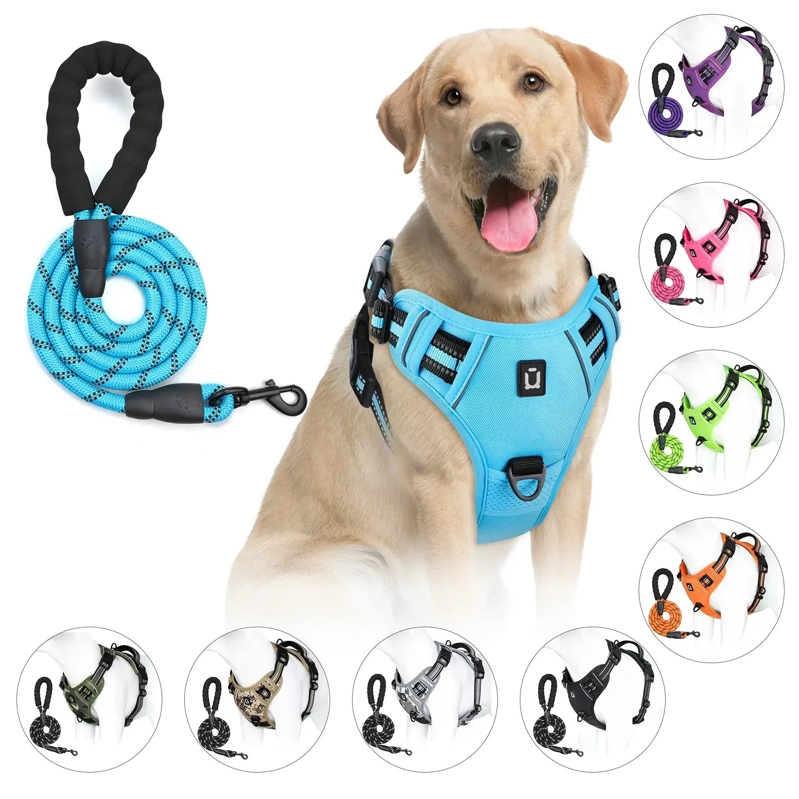 Ensemble harnais et laisse pour chien
