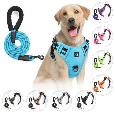 Ensemble harnais et laisse pour chien