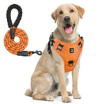 Ensemble harnais et laisse pour chien - Orange / M