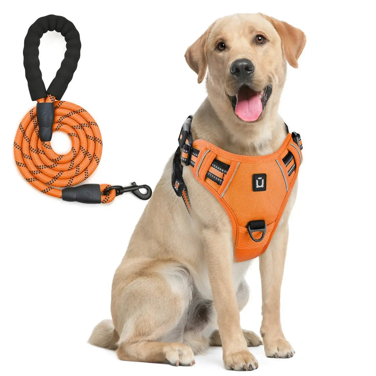 Ensemble harnais et laisse pour chien - Orange / M