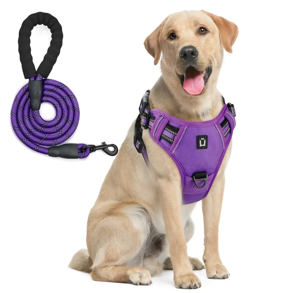 Ensemble harnais et laisse pour chien - PURPLE / M
