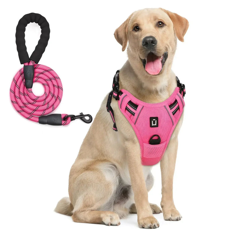 Ensemble harnais et laisse pour chien - Rose Red / M