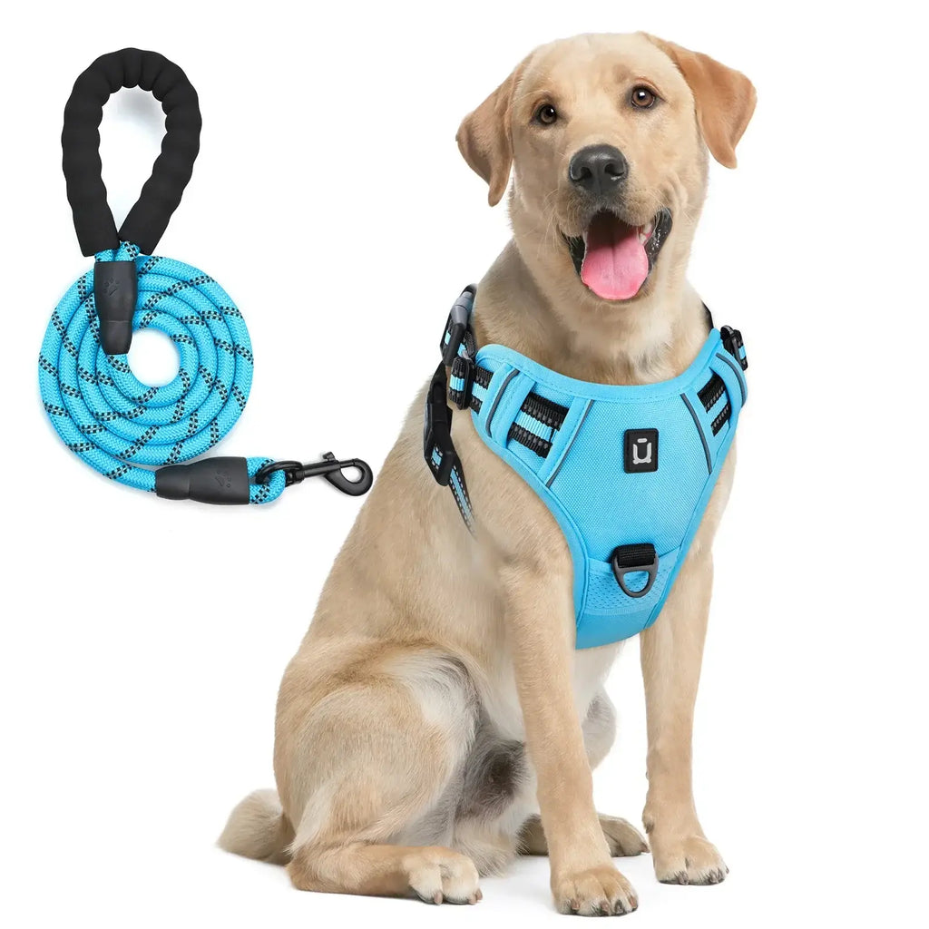 Ensemble harnais et laisse pour chien - SKY BLUE / M