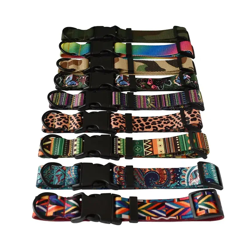 Ensemble laisse et collier pour chien