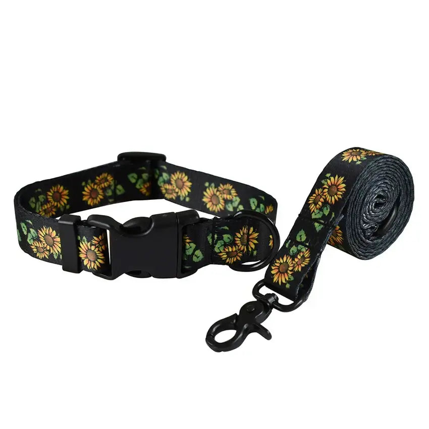 Ensemble laisse et collier pour chien - Dog Leash Collar Set 12 / S