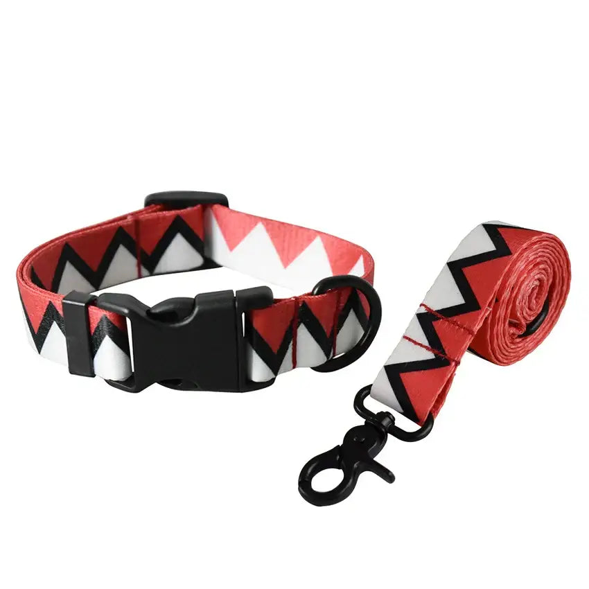 Ensemble laisse et collier pour chien - Dog Leash Collar Set 9 / S