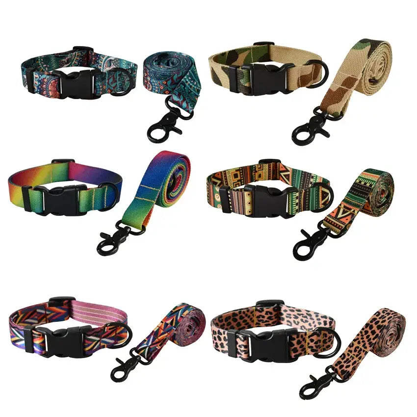Ensemble laisse et collier pour chien
