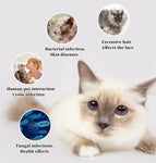 Épilateur pour poils de chat et de chien - Germicidal comb