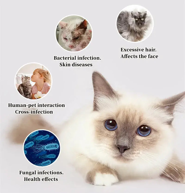 Épilateur pour poils de chat et de chien - Germicidal comb