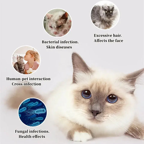 Épilateur pour poils de chat et de chien - Germicidal comb