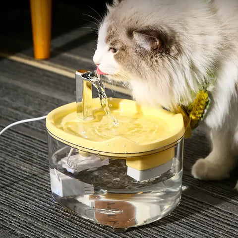 Fontaine à eau automatique pour chats
