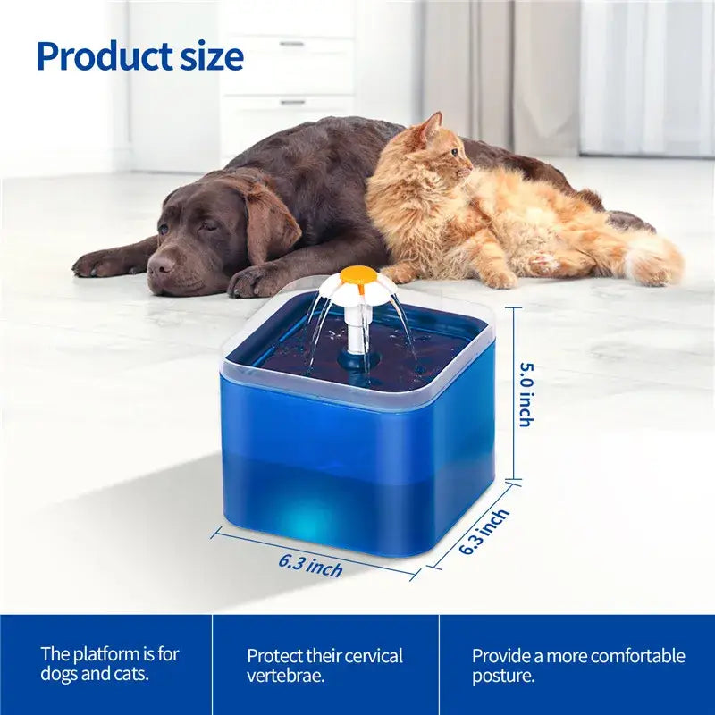 Fontaine à eau pour chiens avec éclairage LED
