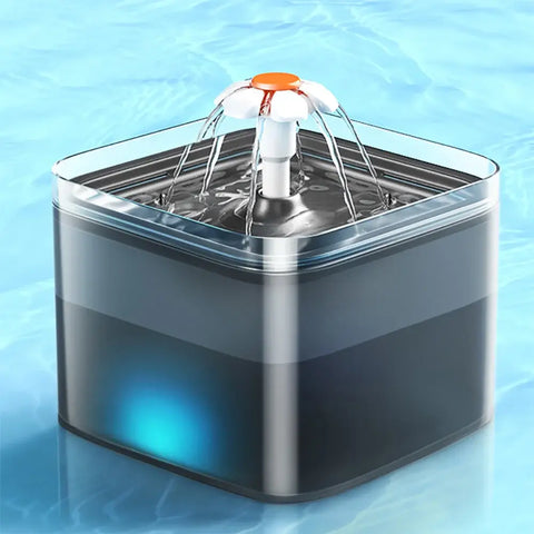 Fontaine à eau pour chiens avec éclairage LED