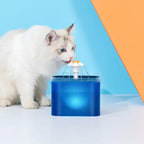 Fontaine à eau pour chiens avec éclairage LED