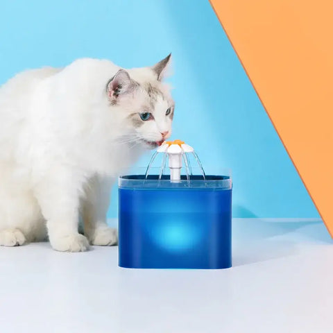 Fontaine à eau pour chiens avec éclairage LED